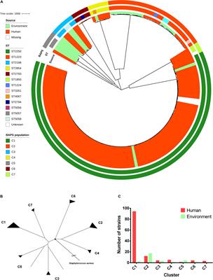 Evolutionary Divergence of the Novel Staphylococcal Species Staphylococcus argenteus